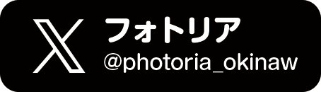 フォトリアX